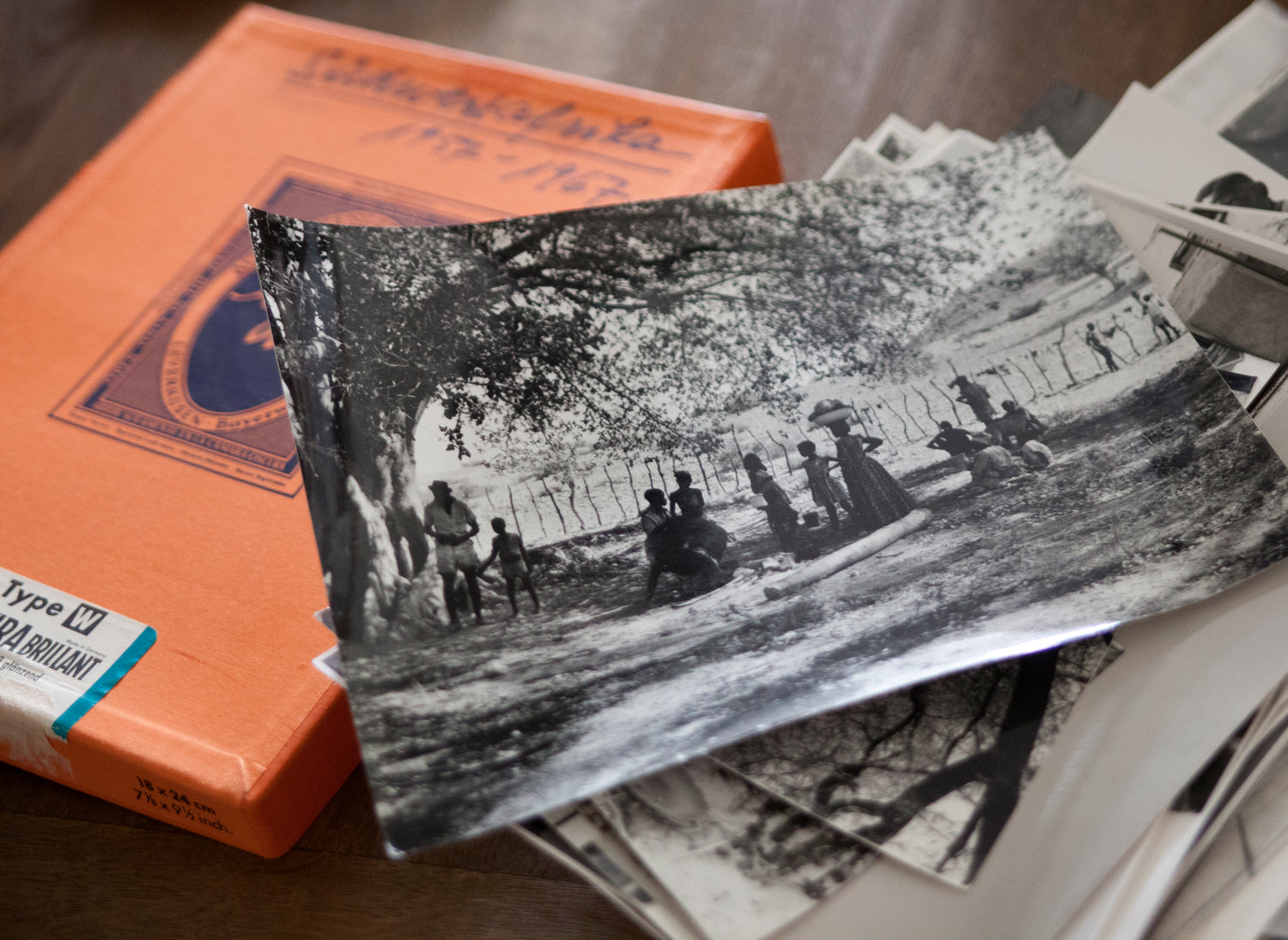 Basler Afrika Bibliographien