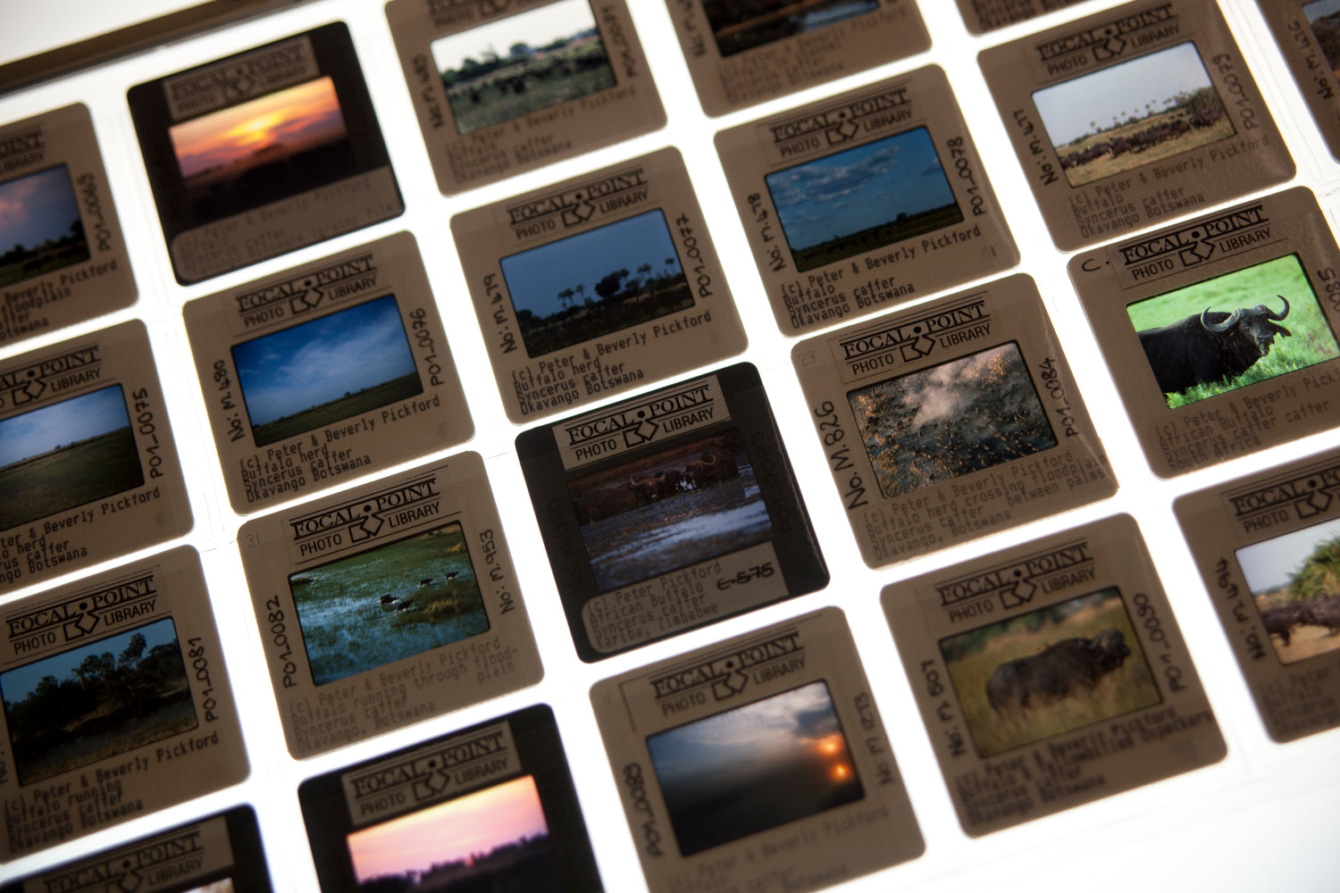 Basler Afrika Bibliographien